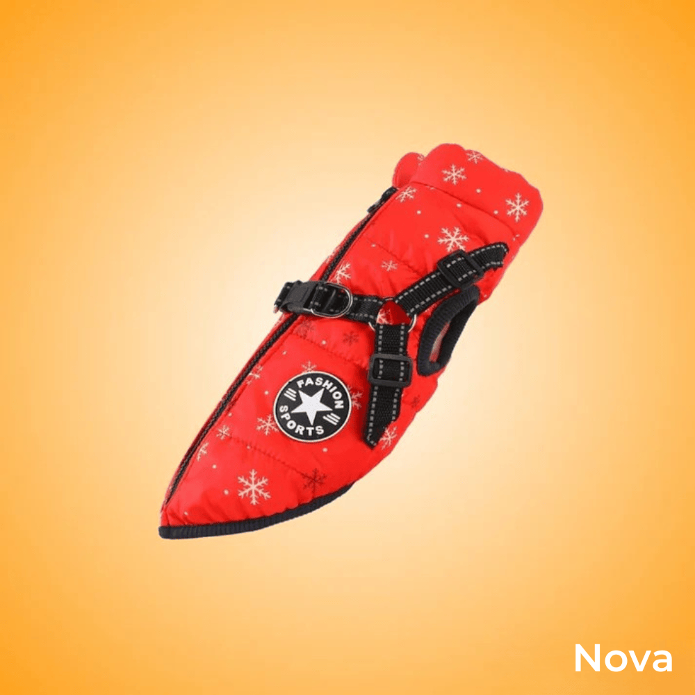 Manteau d'hiver 3 en 1