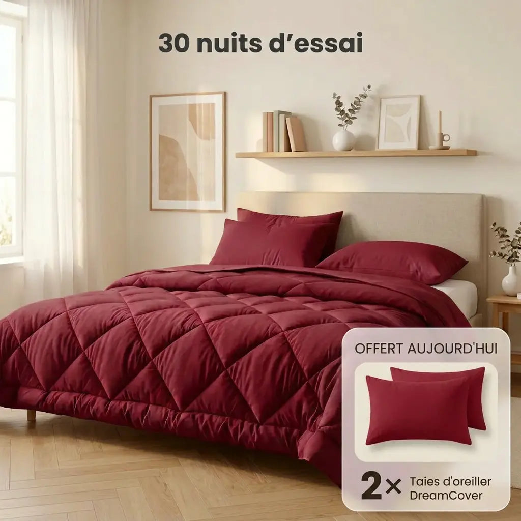 Nova - La couette 2-en-1 sans housse à séchage rapide