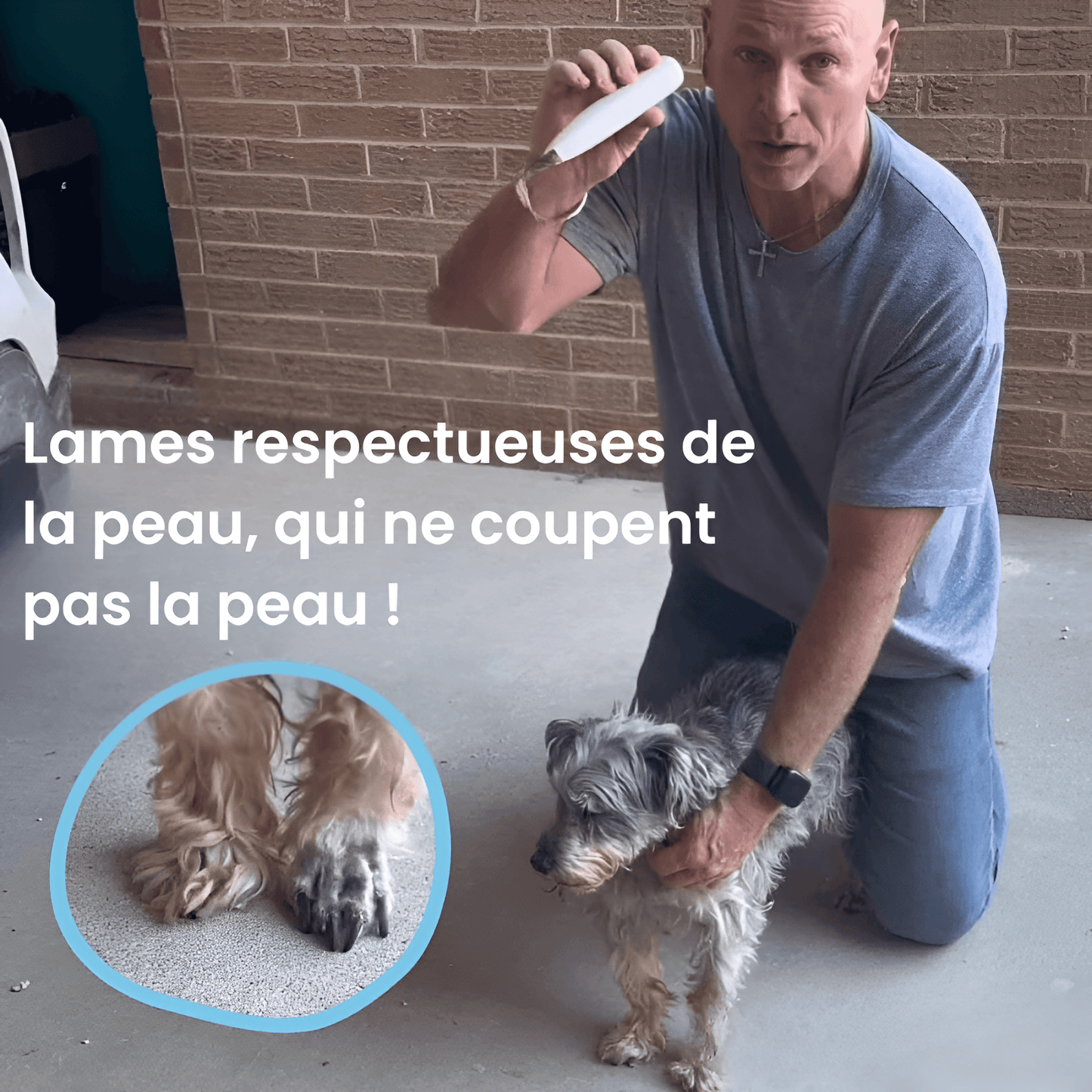 Nova Pro™ – Soin des pattes sans douleur en quelques secondes