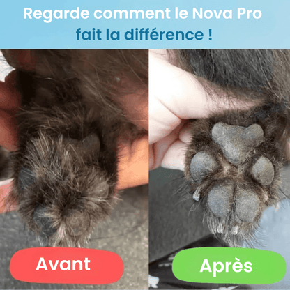 Nova Pro™ – Soin des pattes sans douleur en quelques secondes
