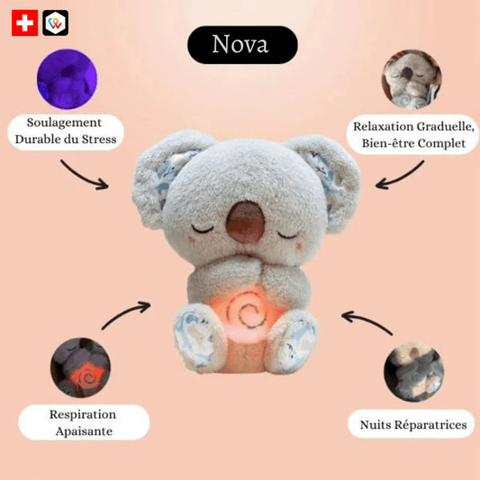 Koala Apaisant – Le compagnon du calme intérieur