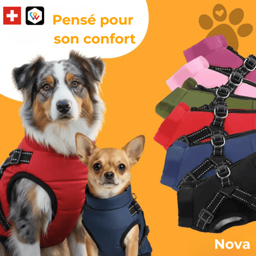 Manteau d'hiver 3 en 1