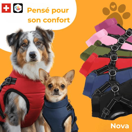 Manteau d'hiver 3 en 1