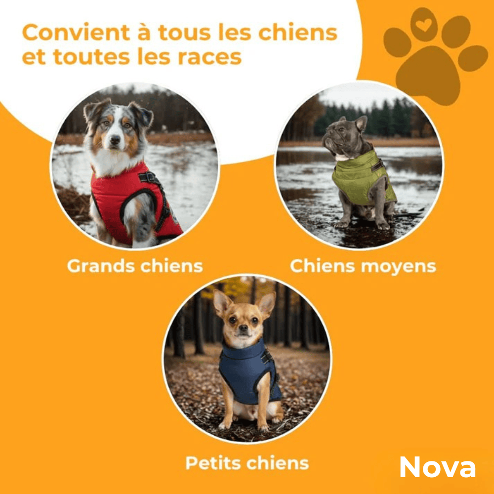 Manteau d'hiver 3 en 1