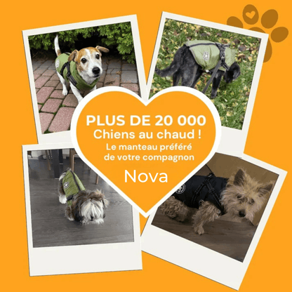 Manteau d'hiver 3 en 1