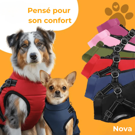 Manteau d'hiver 3 en 1