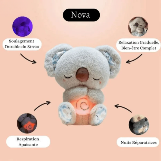 Koala Apaisant – Le compagnon du calme intérieur