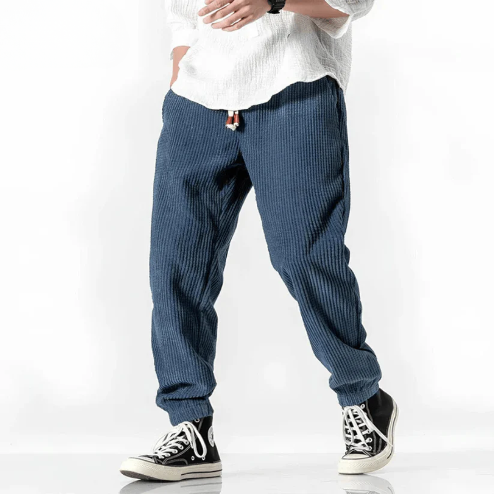 Ramiro | Pantalons En Velours Modernes