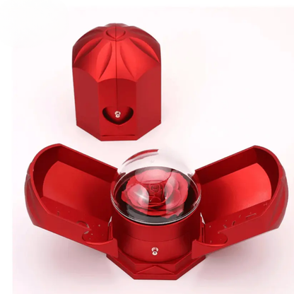 Coffret Rose Éternelle - Avec Collier Cœur en Or Blanc 14 carats