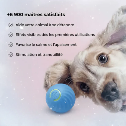 Nova – Balle interactive