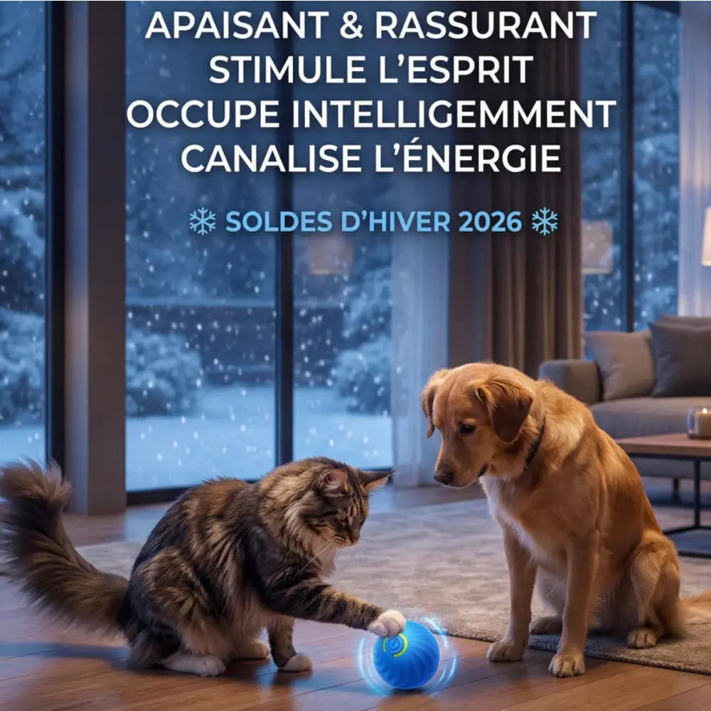 Nova – Palla interattiva