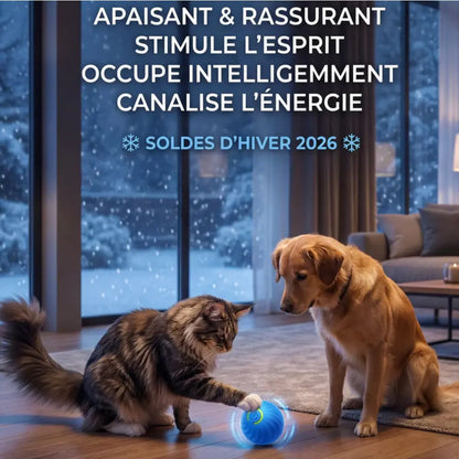 Nova – Palla interattiva