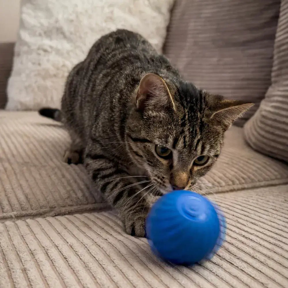 Nova – Palla interattiva