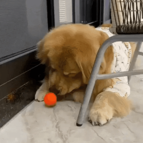 Nova – Palla interattiva