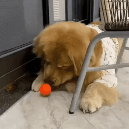 Nova – Palla interattiva