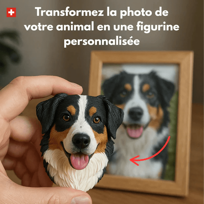 Figura animale magnetica 3D personalizzata