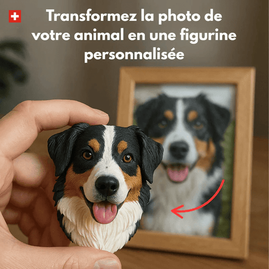 Figura animale magnetica 3D personalizzata