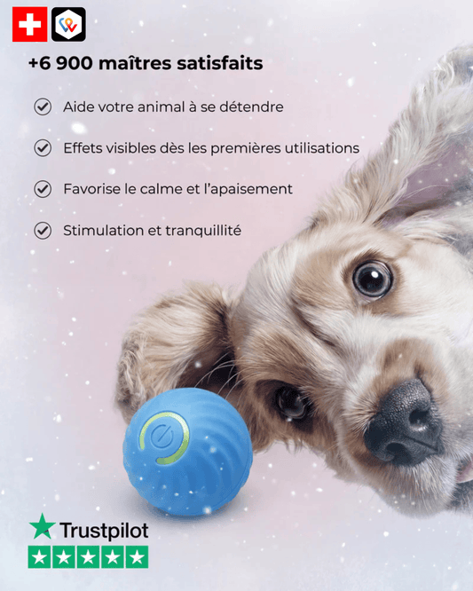 Nova – Balle interactive